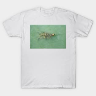 Red-Eared Slider T-Shirt